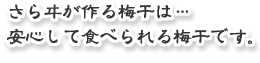 ���烐�����~�����́c���S���ĐH�ׂ���~�����ł��B
